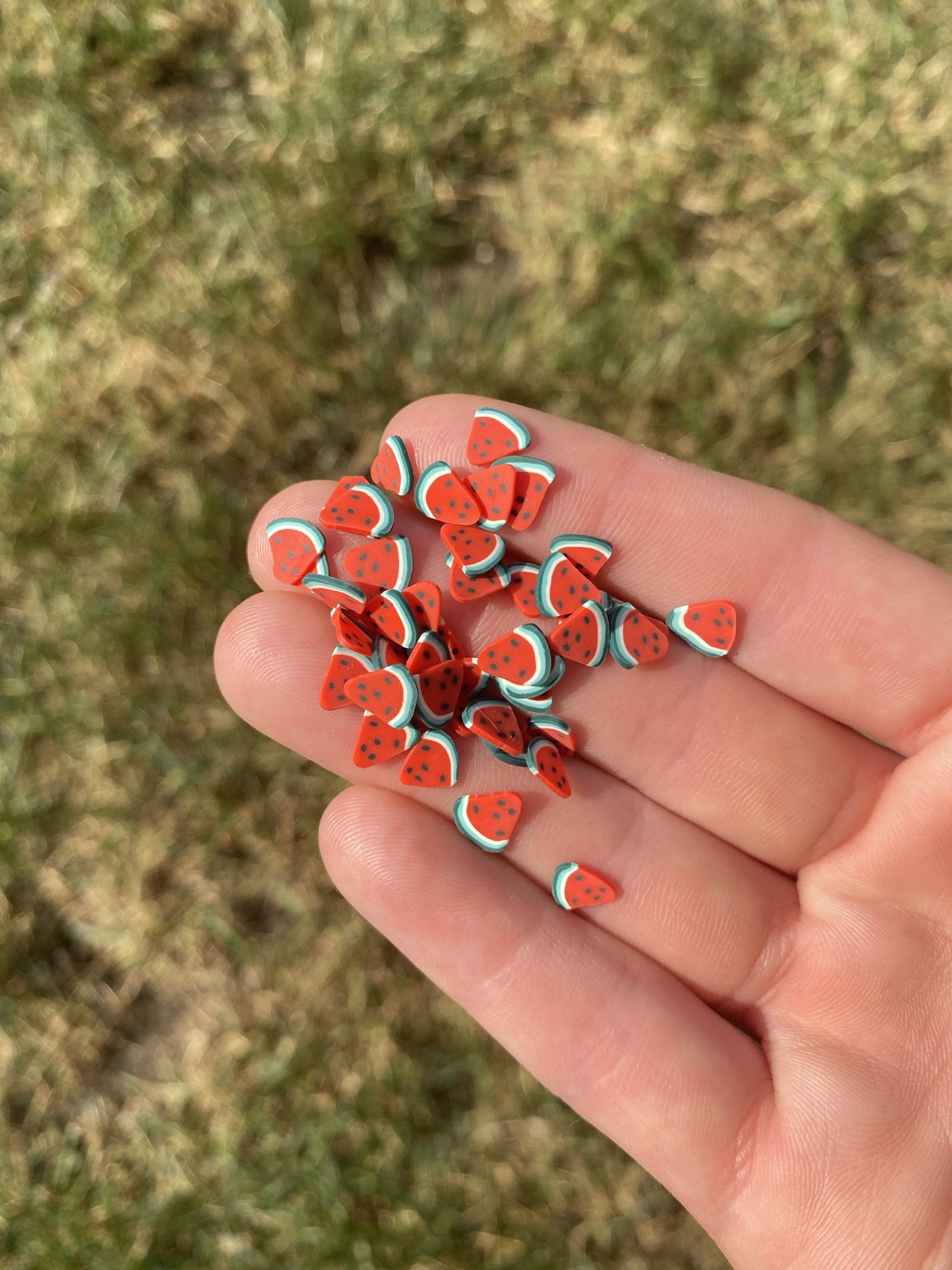 Red Watermelon Polymer Slices